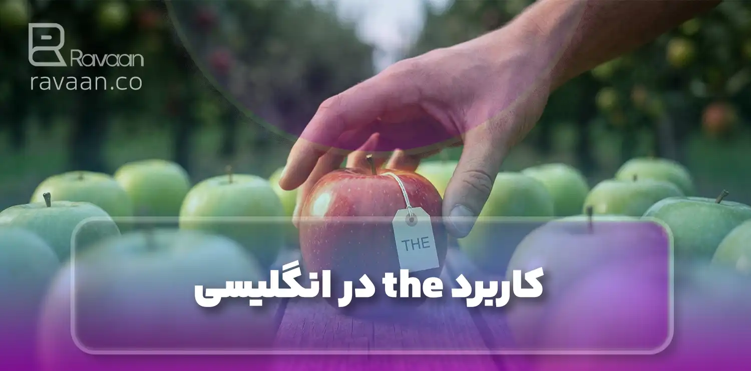 کاربرد the در انگلیسی