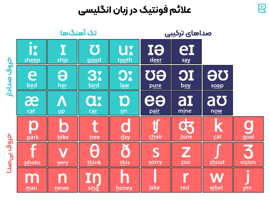 اهمیت فونتیک در یادگیری زبان انگلیسی