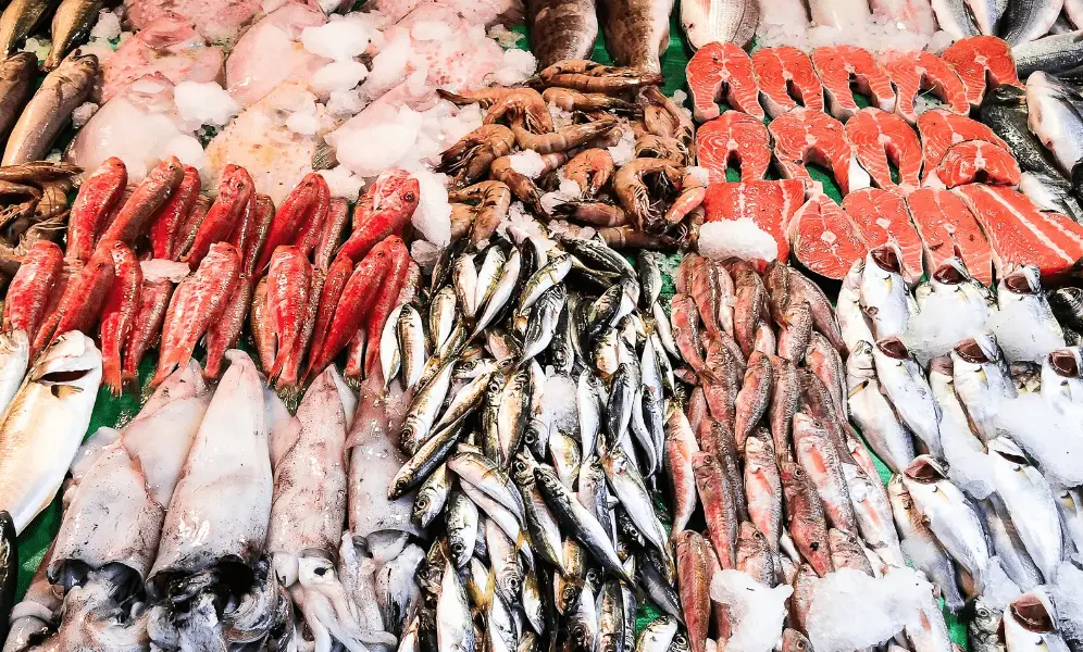 انواع غذاهای دریایی
