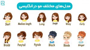 مدل‌های مختلف مو در زبان انگلیسی