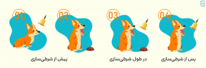 مراحل شرطی‌سازی کلاسیک
