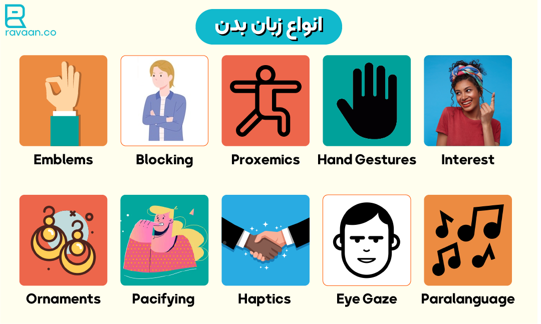 انواع زبان بدن در انگلیسی