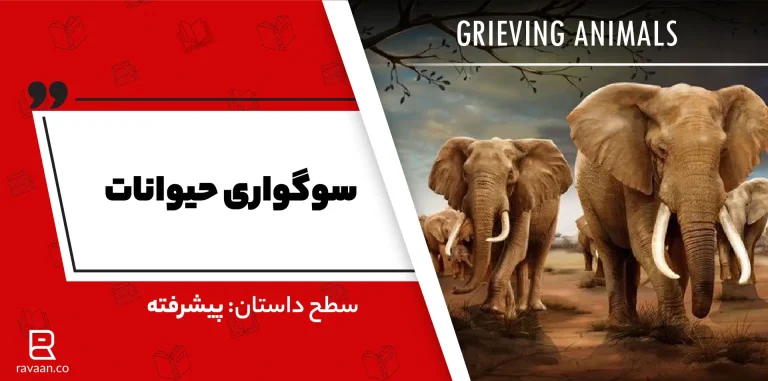 سوگواری حیوانات