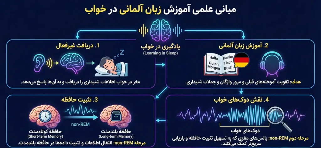 مبانی علمی آموزش زبان آلمانی در خواب